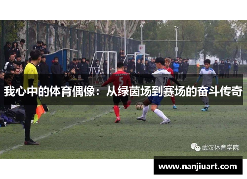 我心中的体育偶像：从绿茵场到赛场的奋斗传奇